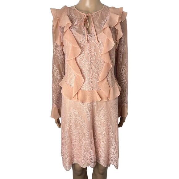 Delfi Collective X Anthropologie Luna Sheer Ruffle Lace Sheath Dress - Picture 2 of 13